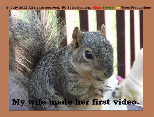 Mywifesquirrel.jpg